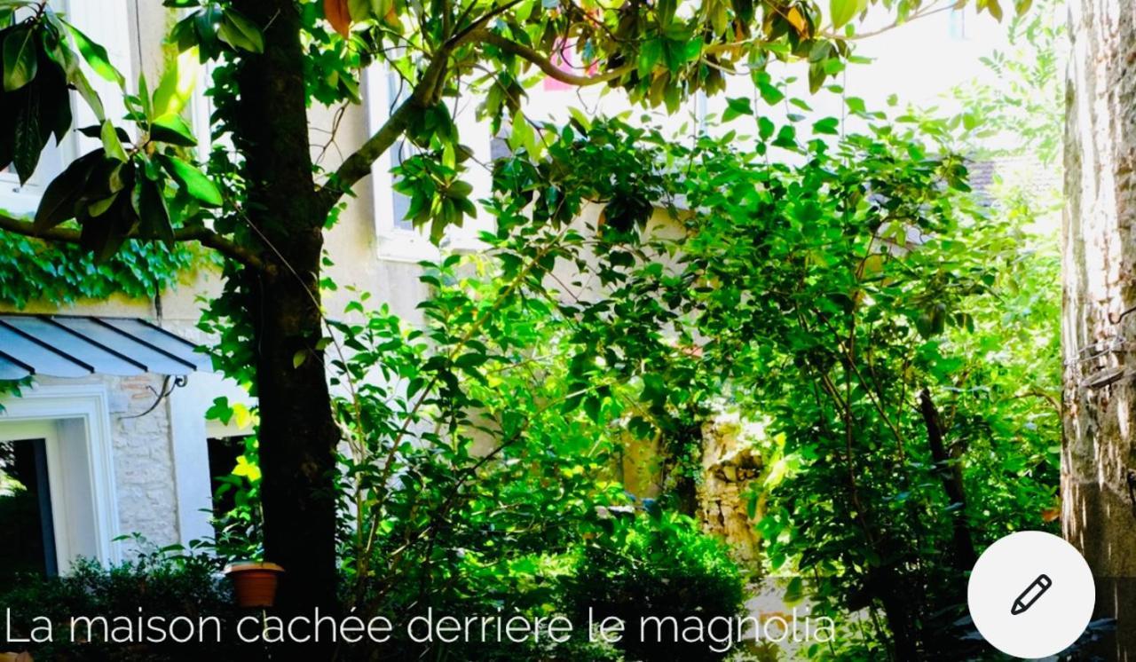 Maison Centre Historique Le Preau Saint Jacques Castres  Zewnętrze zdjęcie